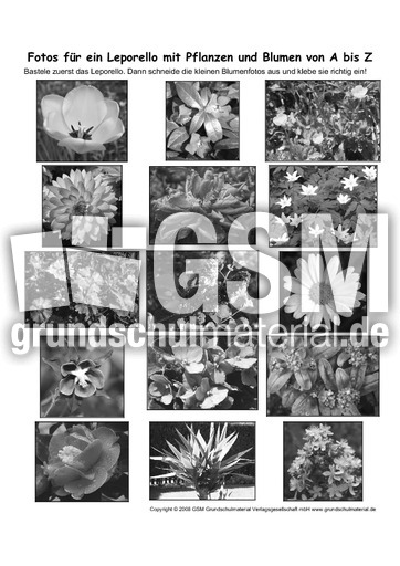 Leporello-Pflanzen-A-Z-Fotos-SW-1.pdf